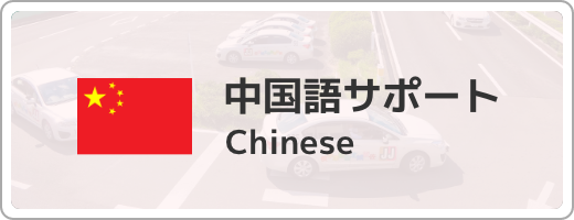 中国語サポート